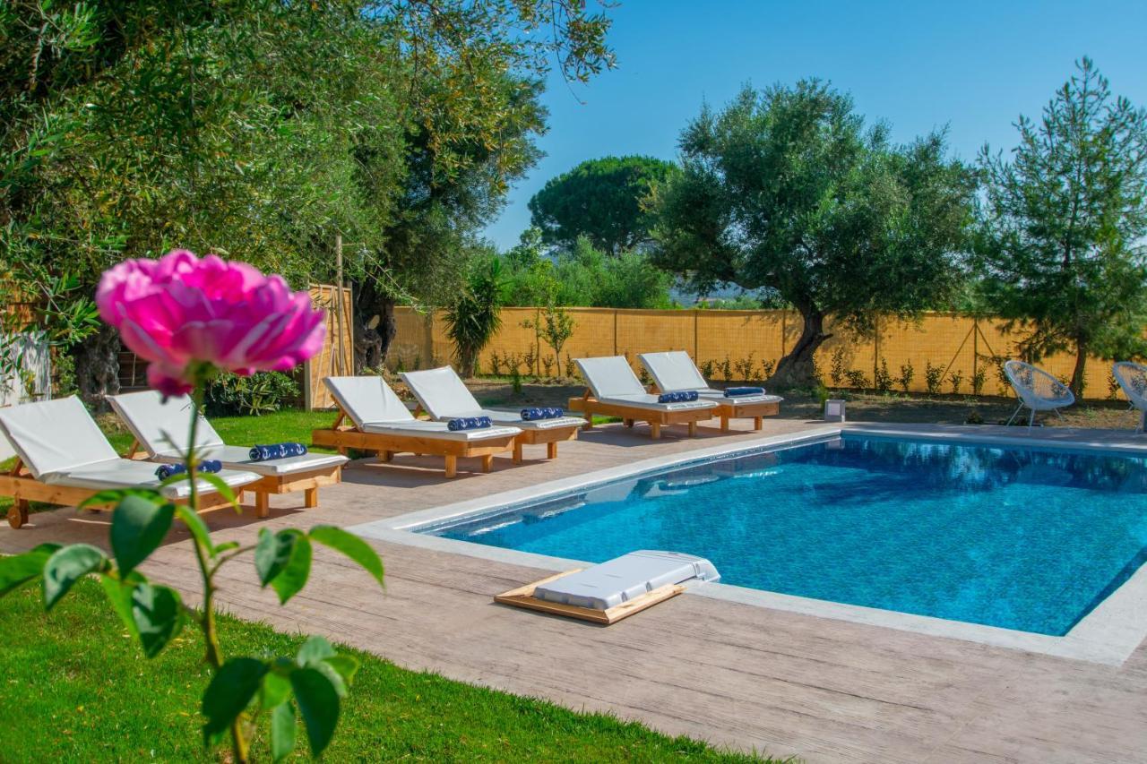 Zante Lagos Homes Treehouse And * Vougiaton
